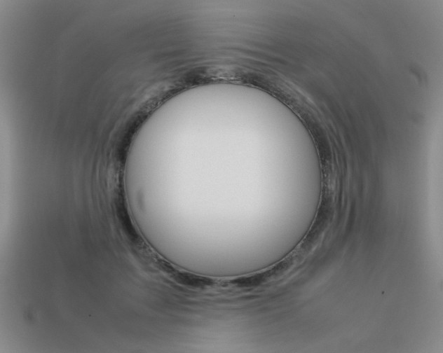 X0000113260603200909101251