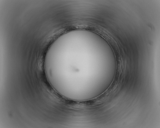 X0000113260604200909101251