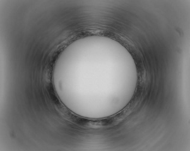 X0000113260606200909101251