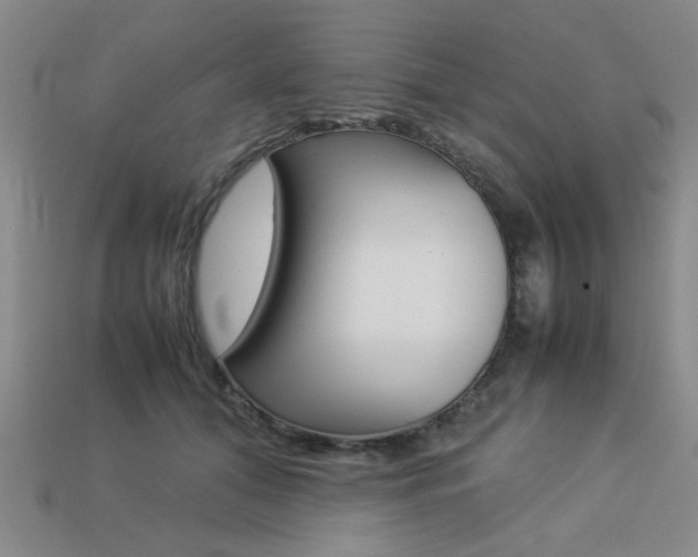 X0000113260608200909101251