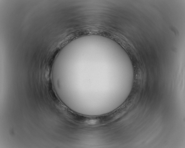 X0000113260610200909101251