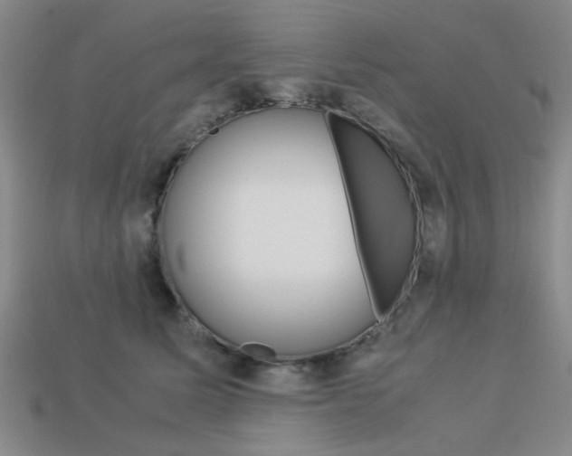 X0000113260611200909101251