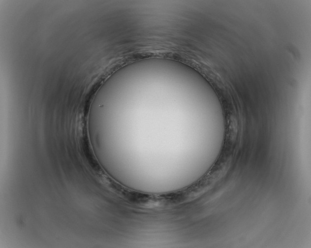 X0000113260612200909101251