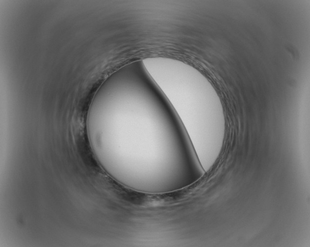 X0000113260613200909101251