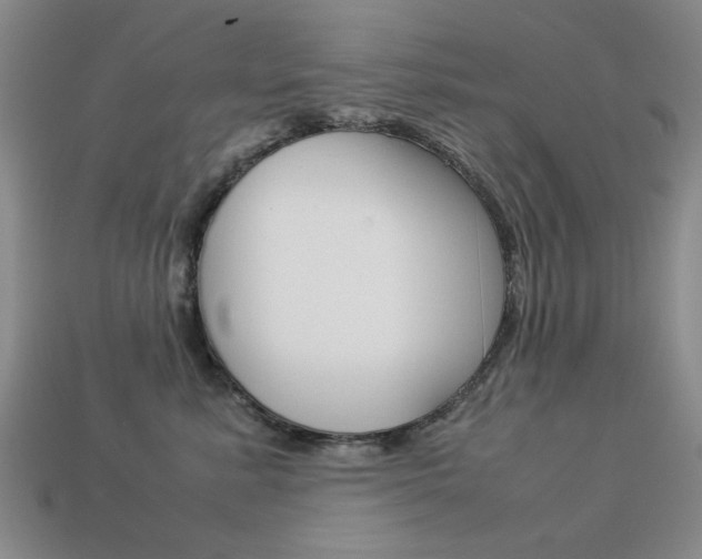 X0000113260619200909101251