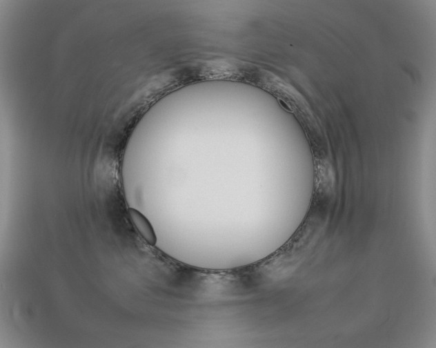 X0000113260621200909101251
