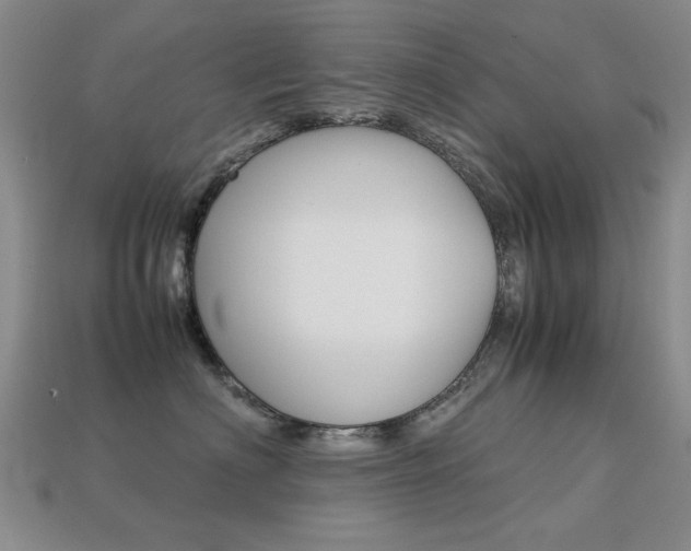 X0000113260622200909101251