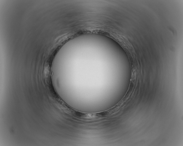 X0000113260623200909101251