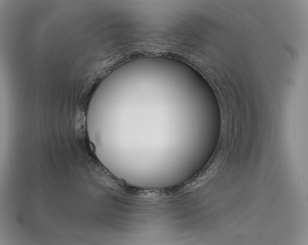 X0000113260624200909101251