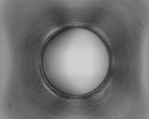 X0000113260625200909101250