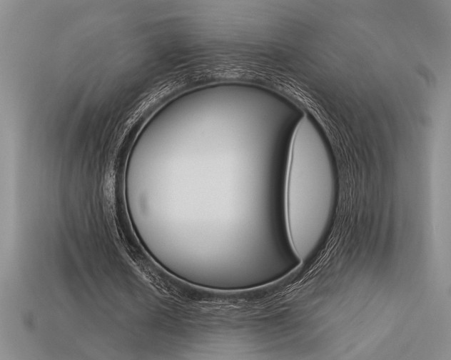 X0000113260626200909101250