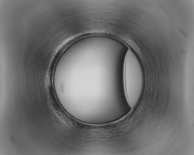 X0000113260628200909101250