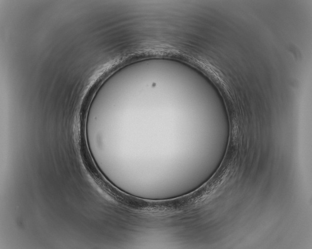 X0000113260630200909101251