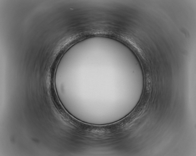 X0000113260631200909101251
