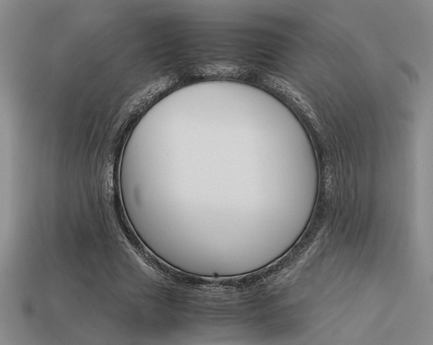 X0000113260633200909101251
