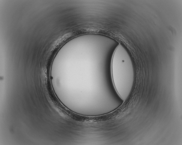 X0000113260634200909101251