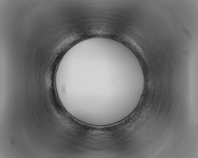X0000113260635200909101251