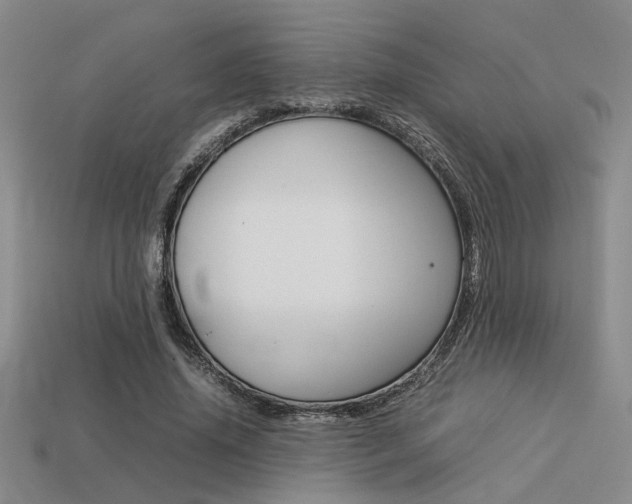 X0000113260636200909101251