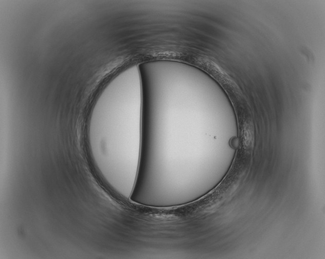 X0000113260637200909101251