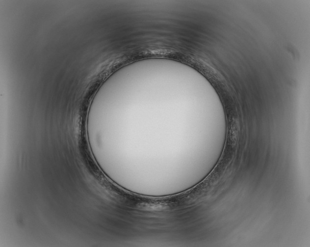 X0000113260639200909101251