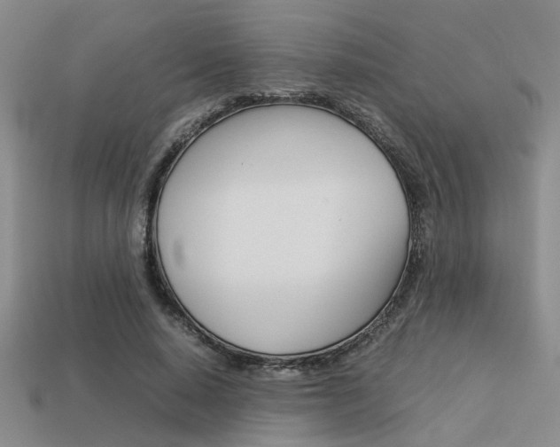 X0000113260640200909101251