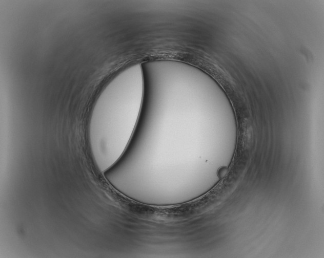 X0000113260641200909101251
