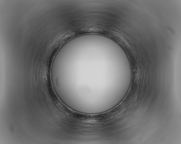 X0000113260643200909101251