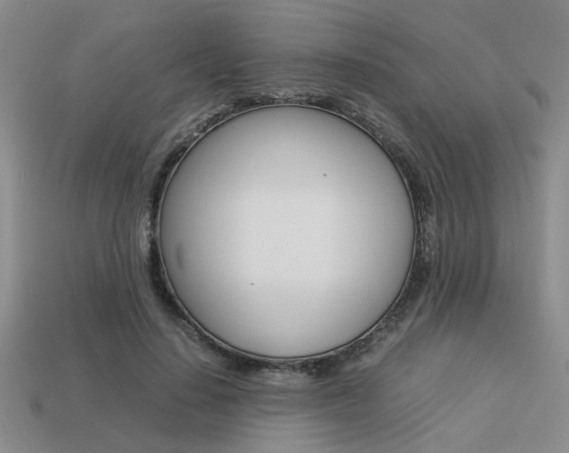 X0000113260644200909101251