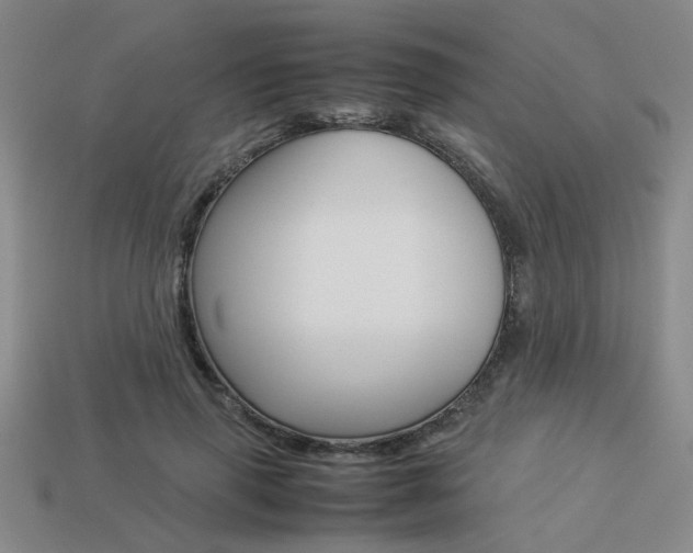 X0000113260645200909101251