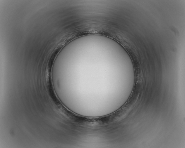 X0000113260646200909101251