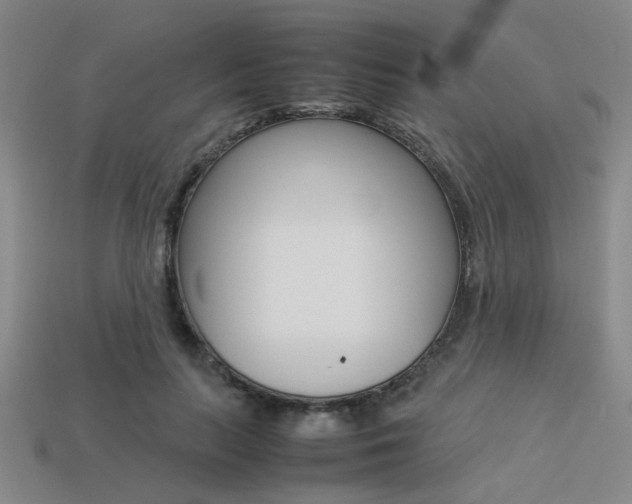X0000113260647200909101251