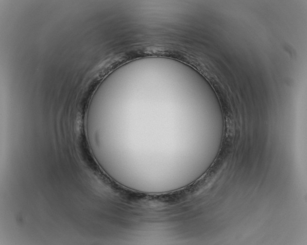 X0000113260648200909101251