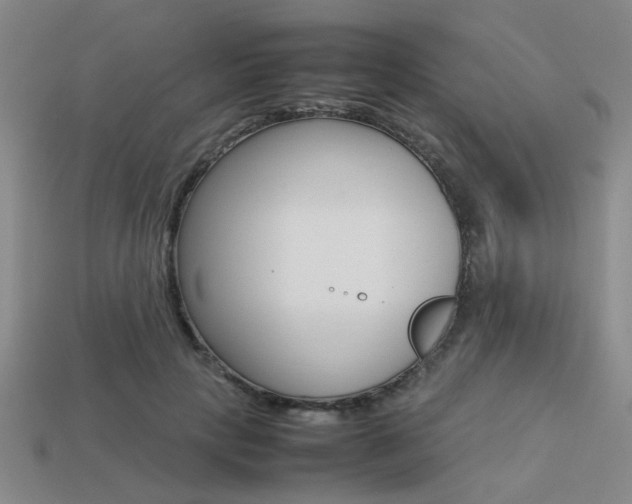 X0000113260649200909101251