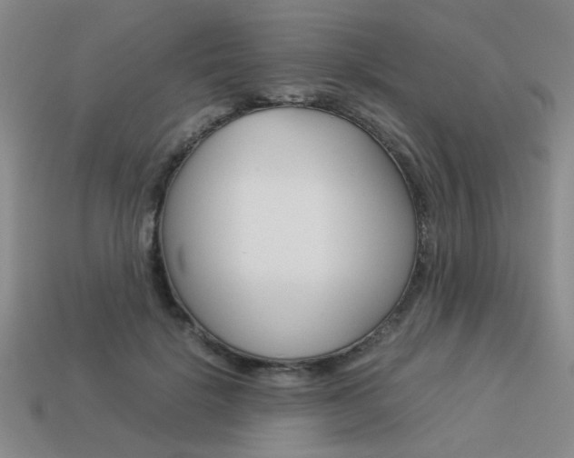 X0000113260652200909101251
