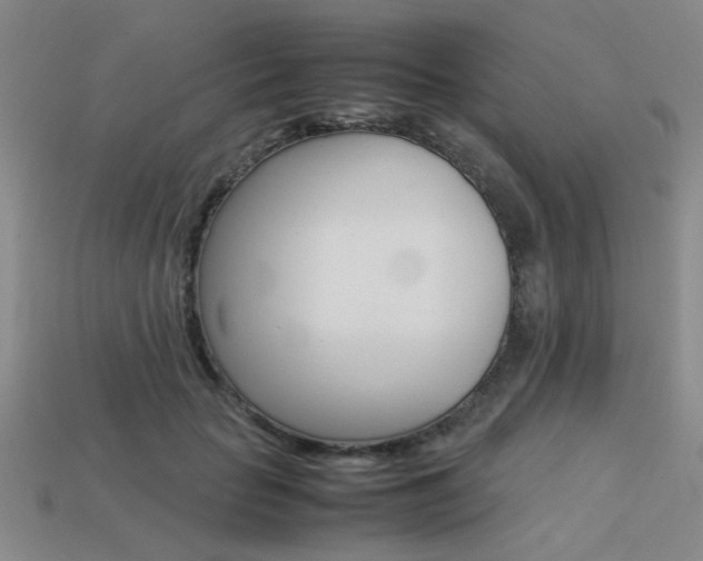 X0000113260653200909101251