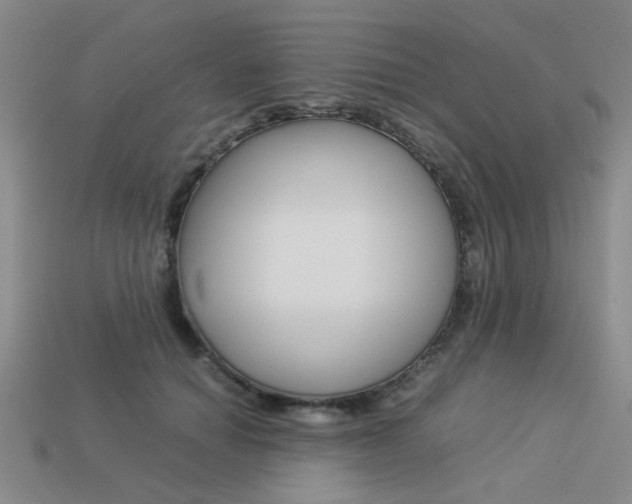 X0000113260654200909101251
