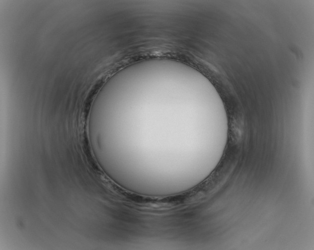 X0000113260657200909101251