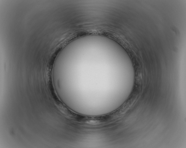 X0000113260658200909101251