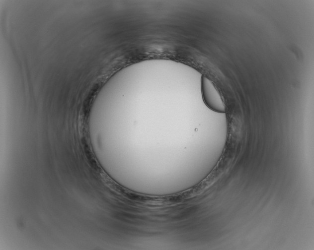 X0000113260659200909101251