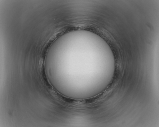 X0000113260660200909101251