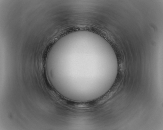 X0000113260662200909101251