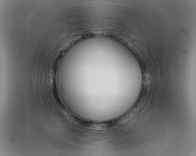 X0000113260664200909101251