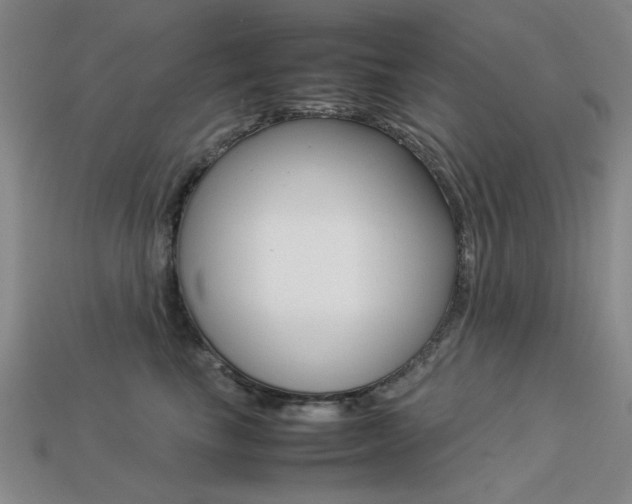 X0000113260665200909101251