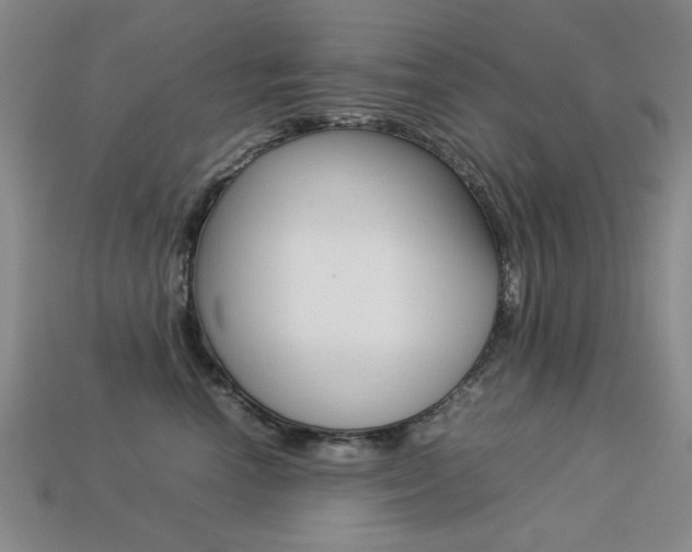 X0000113260666200909101251