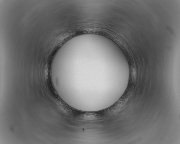 X0000113260668200909101251