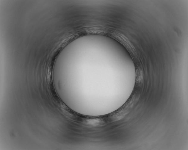 X0000113260669200909101251