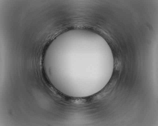 X0000113260670200909101251