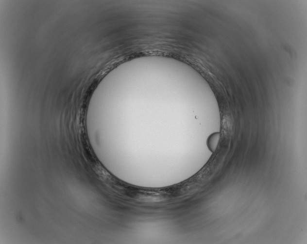 X0000113260671200909101251
