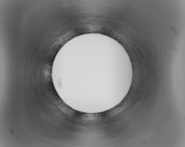 X0000113260672200909101251