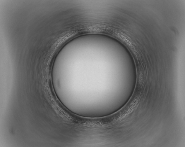 X0000113260673200909101250